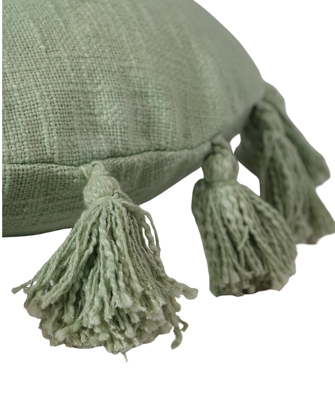 Sage Green Talking Tassels Pillow Cushion