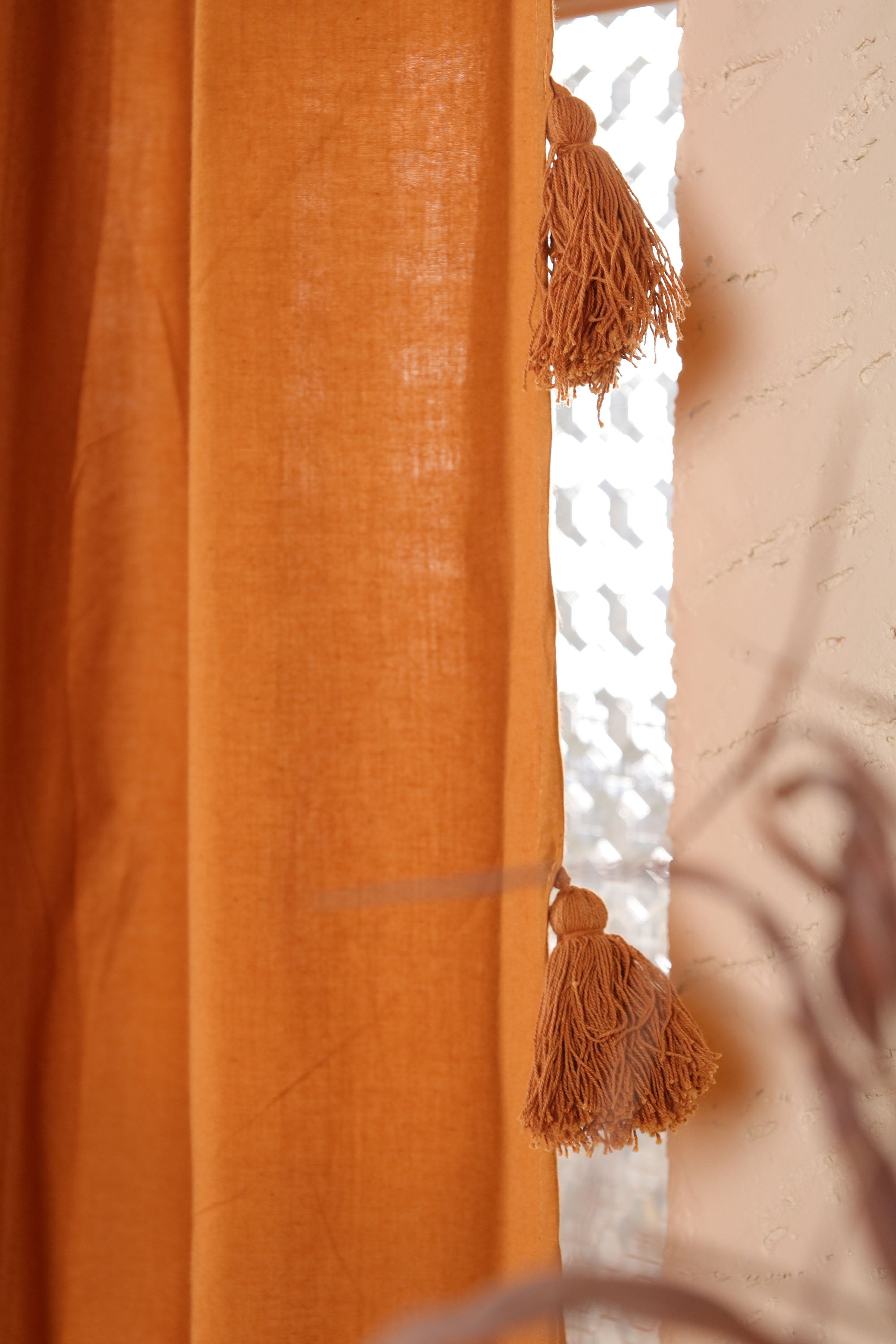 Dreamy Tassel Curtain - Set of 2